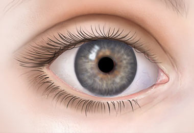 home_vision_treatment6 home_vision_treatment6